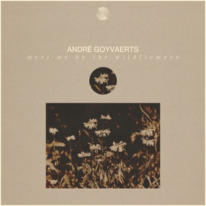 Meet Me By The Wildflowers by André Goyvaerts