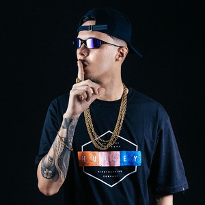 DJ Weriky - Mega pra Ouvir de Fly 4