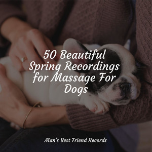 50 Beautiful Spring Recordings for Massage For Dogs album