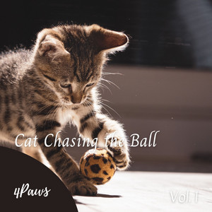 4Paws: Cat Chasing the Ball Vol. 1 album