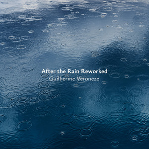 After the Rain - Nature Sounds by Guilherme Veroneze