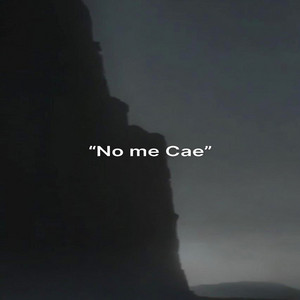 No me Cae by wilson wayy