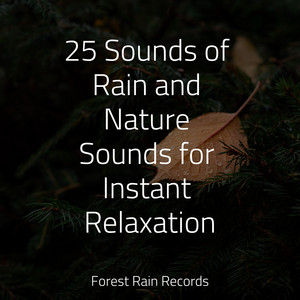 25 Sounds of Rain and Nature Sounds for Instant Relaxation album