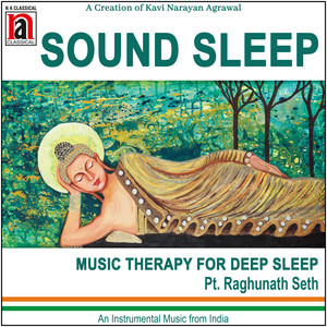 Pandit Raghunath Seth | Spotify
