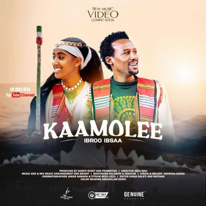 Ibro Ibsaa - kaamole