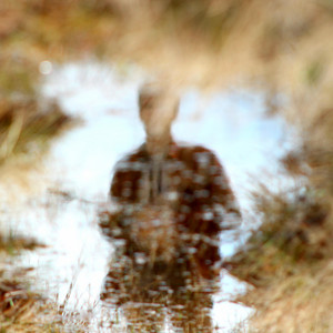 Float by Old Road