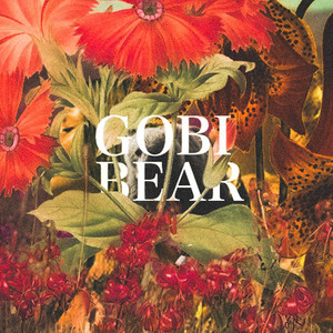 Gobi Bear by Charlie Chamberlain