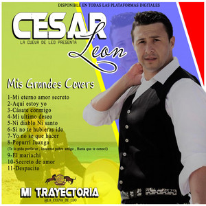 El Mariachi (Cover)