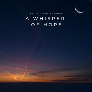 Into Gentle Light by Clara Moriani, lowlight.fm