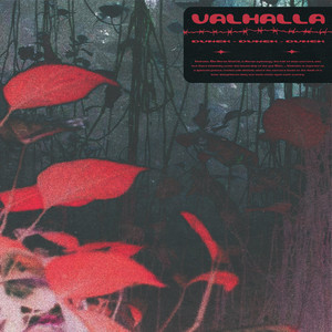 Обкладинка: VALHALLA