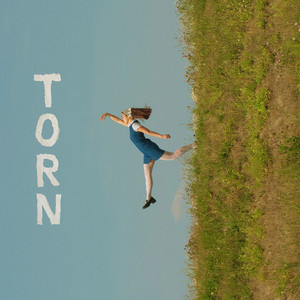 Torn by Rachel Chiu
