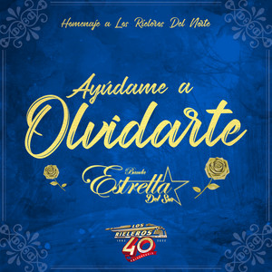 Banda Estrella Del Sur - Ayúdame a Olvidarte