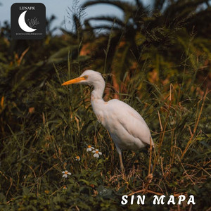 Sin Mapa by LunaPK