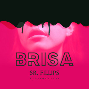 Brisa