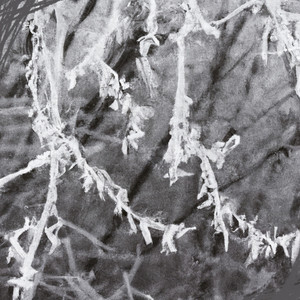 kaptainflare - Winter Frost