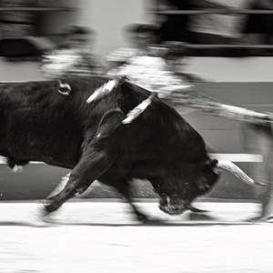 Running With The Bulls by KPR World