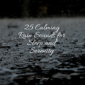 25 Calming Rain Sounds for Sleep and Serenity album