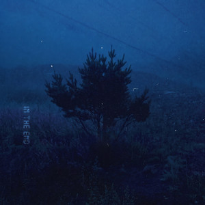 in the end by blu