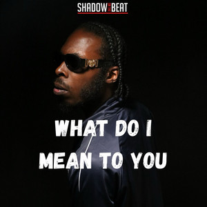 WHAT DO I MEAN TO YOU by Shadow on the Beat