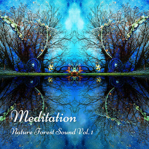 Meditation: Nature Forest Sound Vol. 1 album