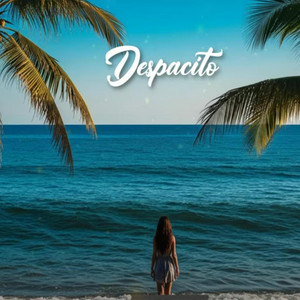 DJ GROSSU - Despacito