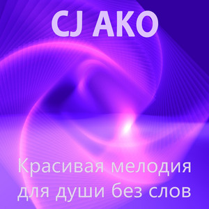 CJ AKO - Красивая мелодия для души без слов