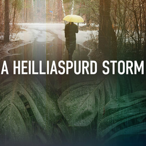 A Heilliaspurd Storm album
