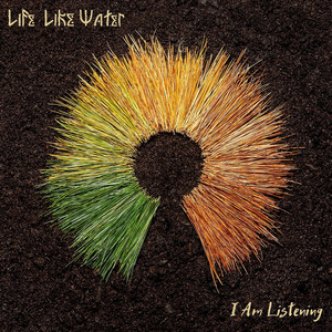 A Simple Life by Life Like Water