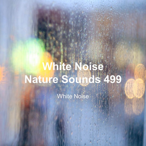 White Noise 499 (Rain Sounds, Bonfire Sound, Baby Sleep, Deep Sleep) cover art