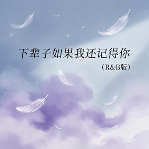 下辈子如果我还记得你（R&B版） by zuoo Chinese