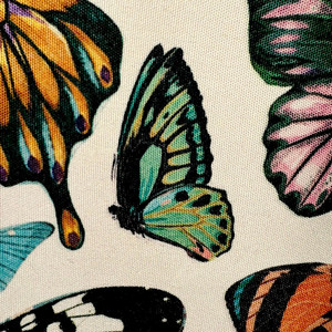 Butterfly Decor by Nicholas Cloud