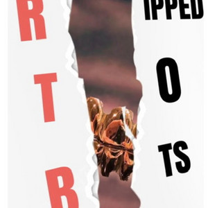 RIPPED2BITZ