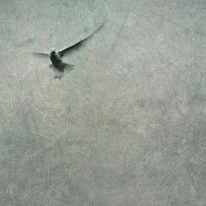 WITHALLU by Don Serono
