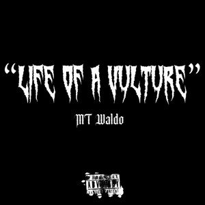 Same YNS by MT Waldo
