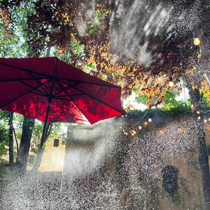 Girl In The Rain by Susie Maddocks