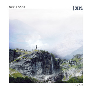 The Air by Sky Roses