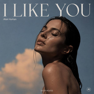 I LIKE YOU by Alek Human