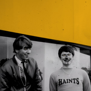 Breakdown by Haints