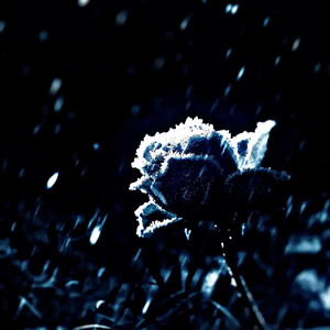 Never Enough by HXLLGANG