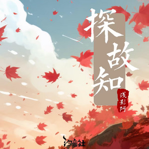 浅影阿 - 探故知 (DJ铁柱版)