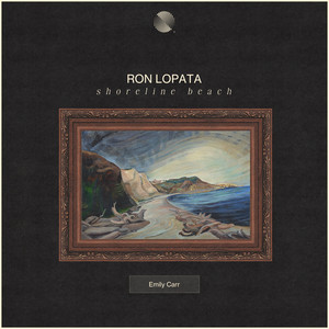 Shoreline Beach by Ron Lopata