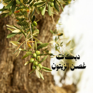صدى الشام - دبكات غصن الزيتون