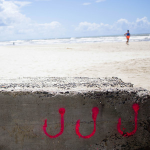 Anzol — Albatroz à Beira Mar