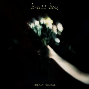 Surrender by Brass Box