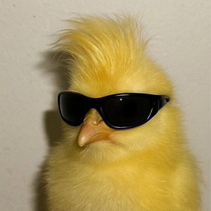 Eggy Way by Marlo Vega