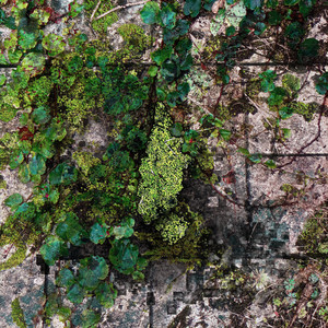 First Exploration - Inner Version by CCTemple, Chapelier Fou