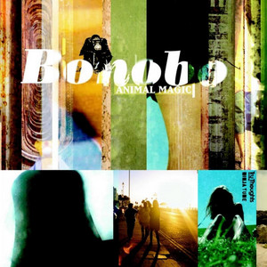 Intro cover