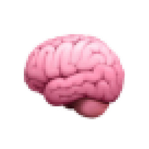 brains by mak