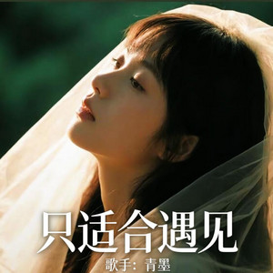 只适合遇见 - 烟嗓版 by 青墨