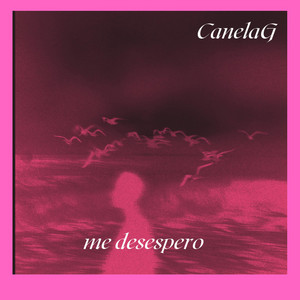Me Desespero by Canela G